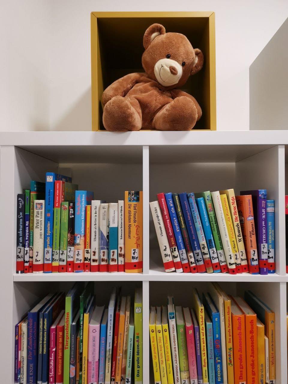 Teddy in der Bücherei