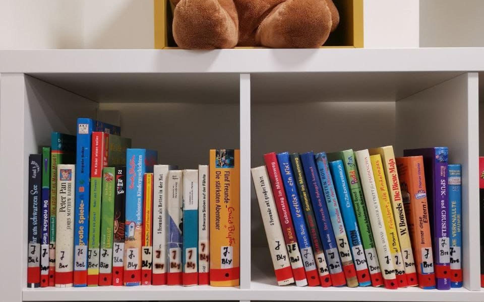 Teddy in der Bücherei